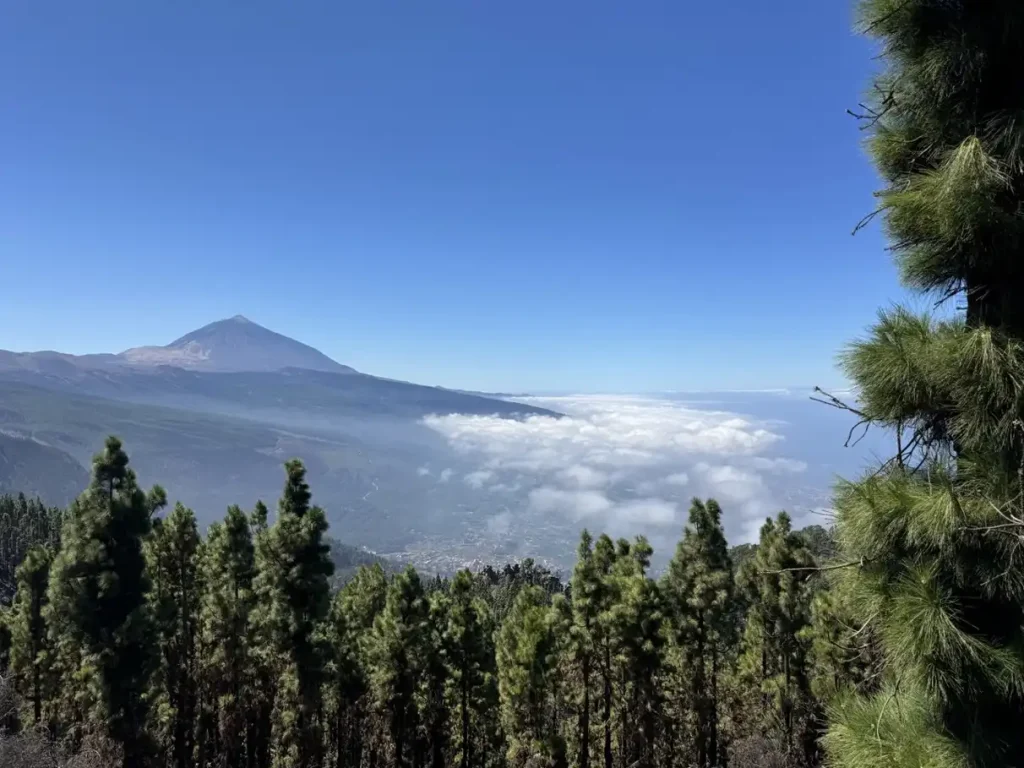 vuelos pamplona tenerife directos binter