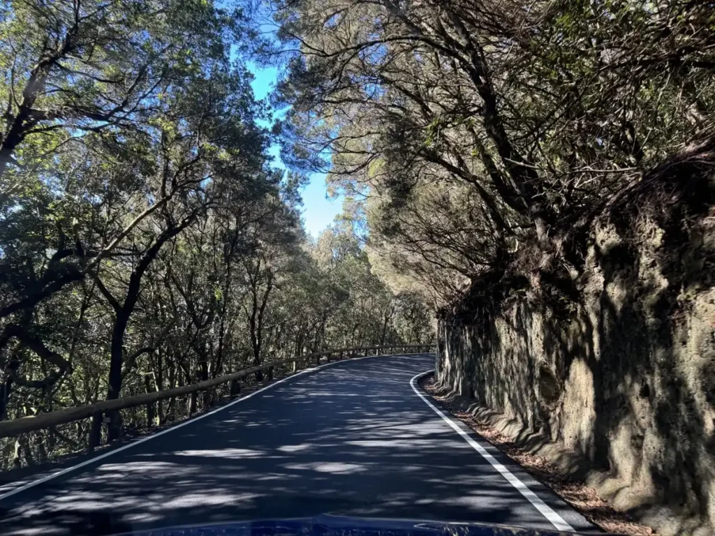 vuelos pamplona tenerife